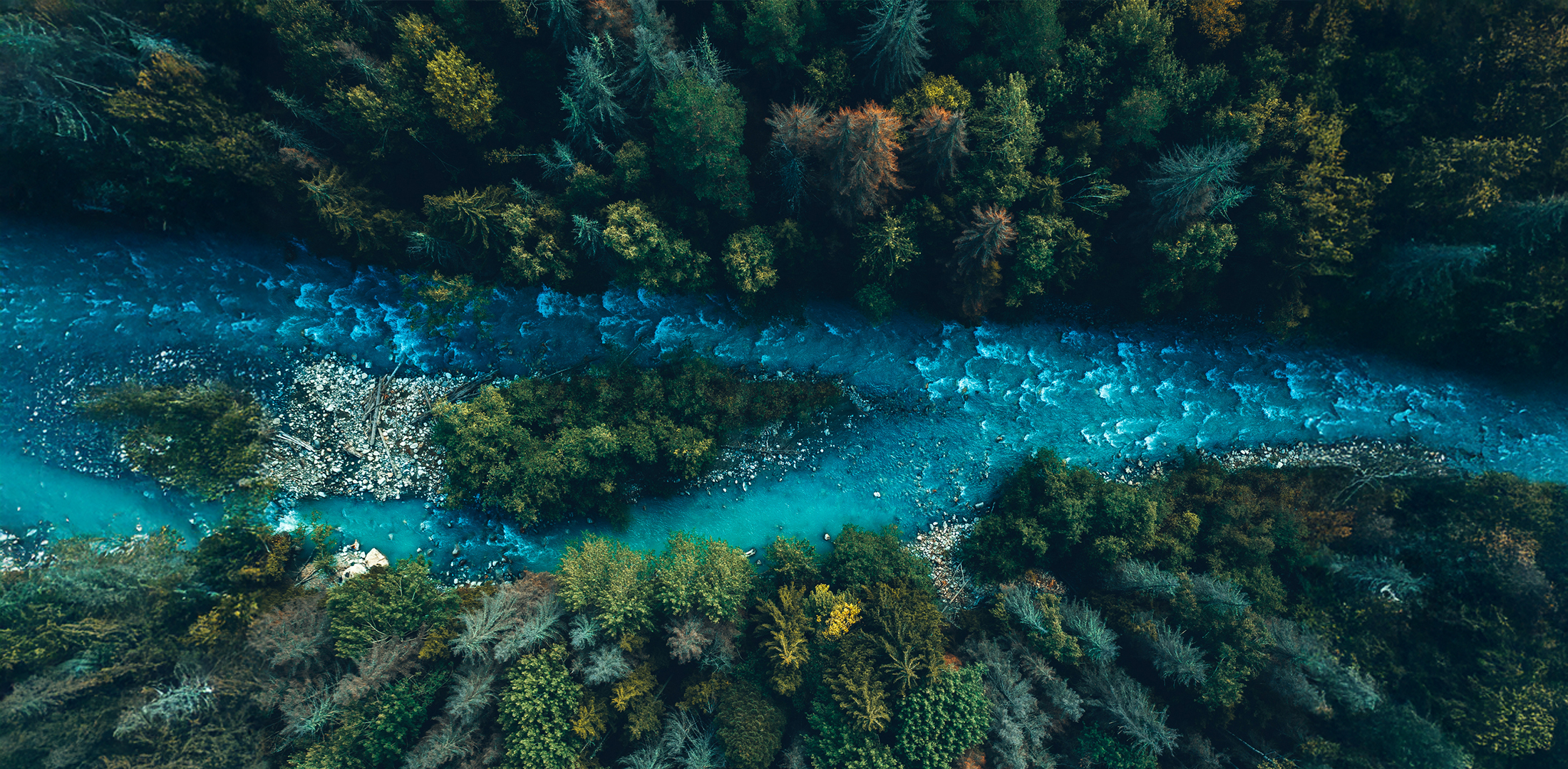 ESG Strategy & Transformation