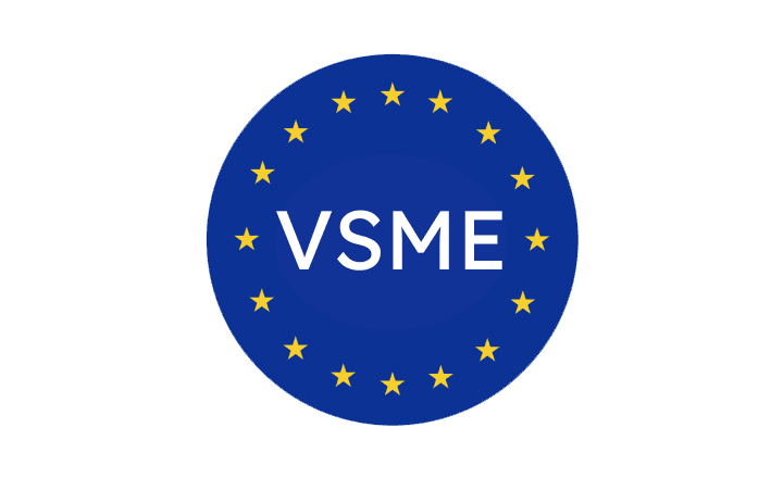VSME