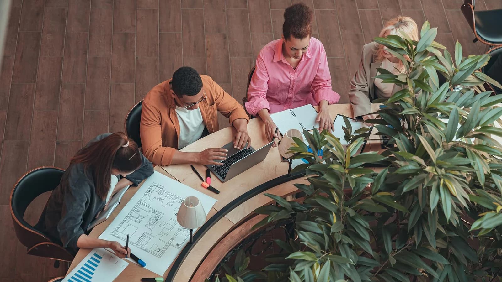 One perspective, multiple disciplines - Cognitud